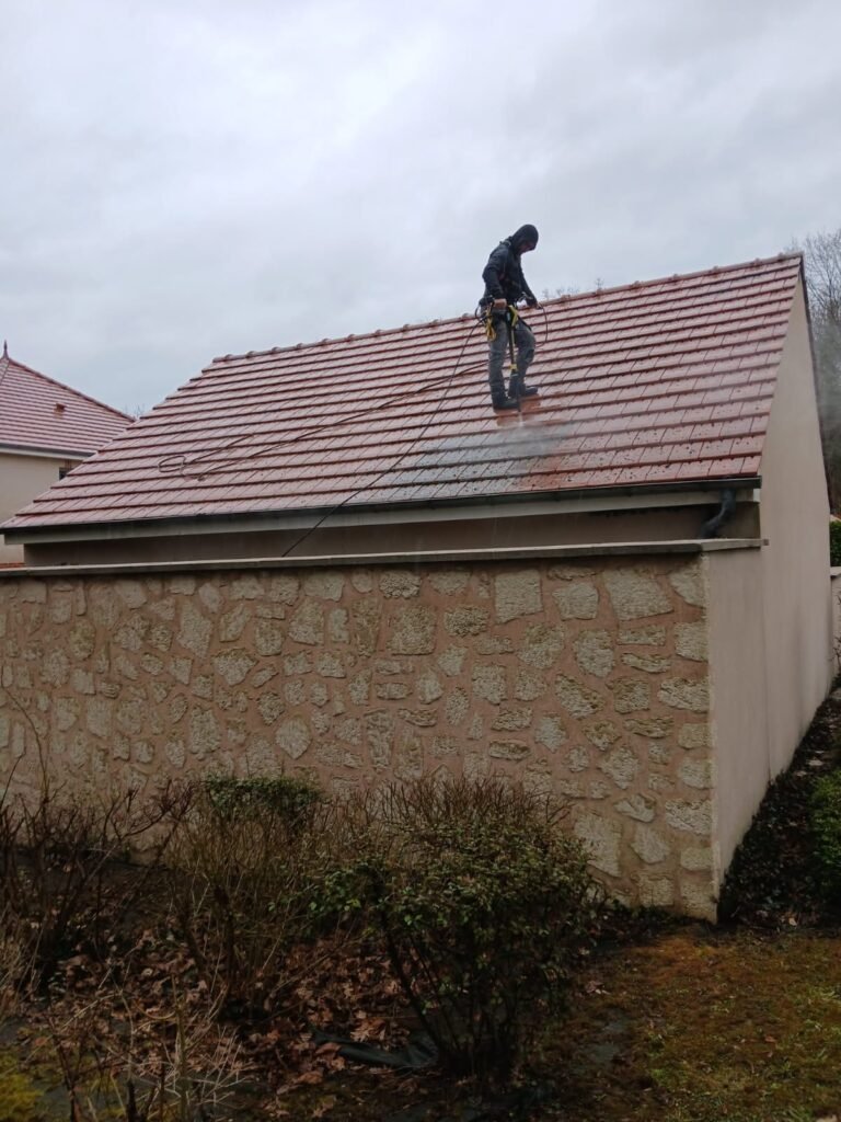 nettoyage-toiture